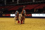 Quadrille - 00372